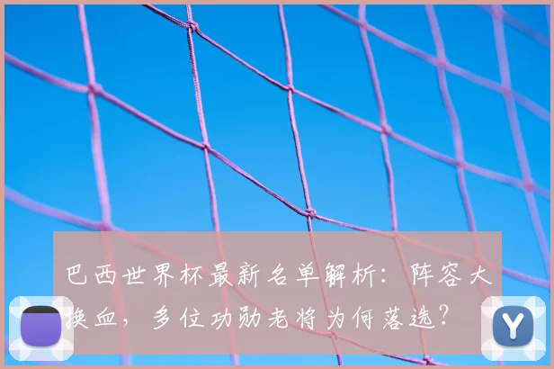 巴西世界杯最新名单解析:阵容大换血,多位功勋老将为何落选?
